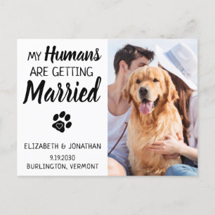 Carte Postale Faire-part Mariage de chien photo Enregistrer la date