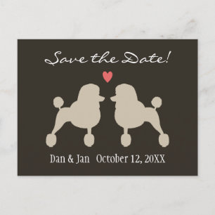 Carte Postale Faire-part Mariage de Poodles Standards Fancy - Save the Date
