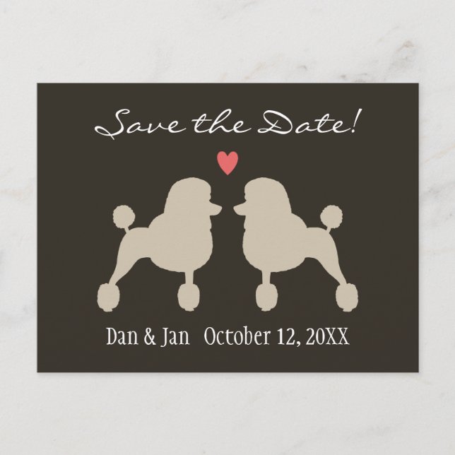 Carte Postale Faire-part Mariage de Poodles Standards Fancy - Save the Date (Devant)