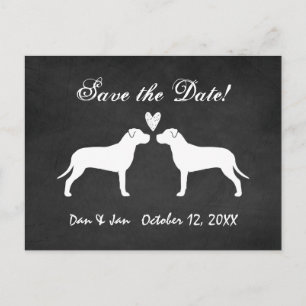 Carte Postale Faire-part Mariage de Taureaux Pit Enregistrer la date