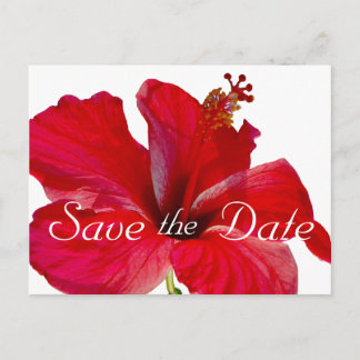 Carte Postale Faire-part Mariage d'Hibiscus tropical Enregistrer la date