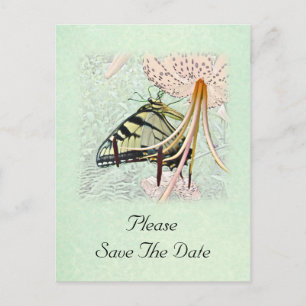 Carte Postale Faire-part Mariage Enregistrer La Date Papillon Swallowtail &