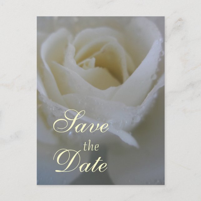 Carte Postale Faire-part Mariage Rose Ange (Devant)