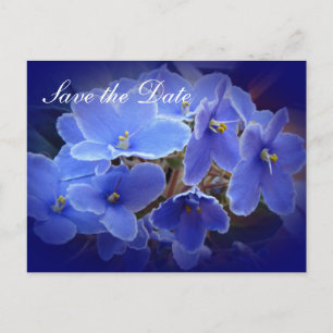 Carte Postale Faire-part Mariage "Sauvez la date" Violets bleus africains