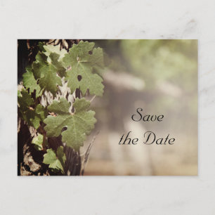 Carte Postale Faire-part Mariage viticole Feuille de raisin Enregistrer la