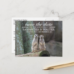 Carte Postale Faire-part Meerkats Adorables Enregistrer La Date