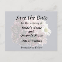 Mères et marguerites foncées et claires