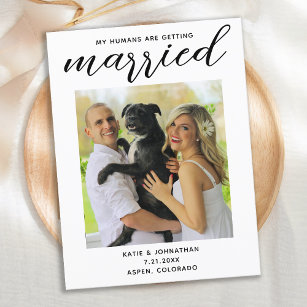 Carte Postale Faire-part Mes êtres humains se marient - Mariage de chien si