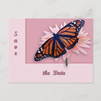 Carte Postale Faire-part Monarque