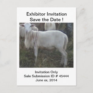 Carte Postale Faire-part Moutons de cheveux de Katahin