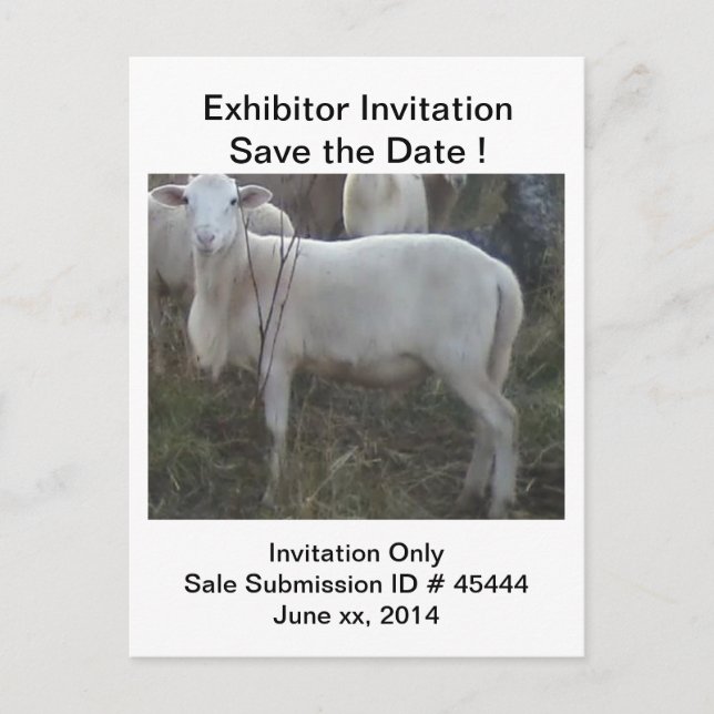 Carte Postale Faire-part Moutons de cheveux de Katahin (Devant)