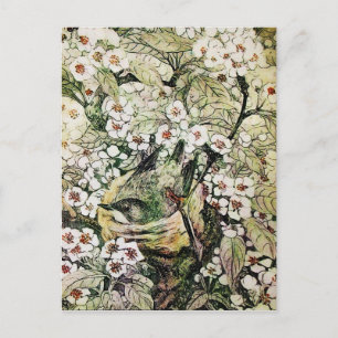 CARTE POSTALE FAIRE-PART NID D'OISEAU, ARBRE AUX FLEURS BRUNES ET BLANCHES 