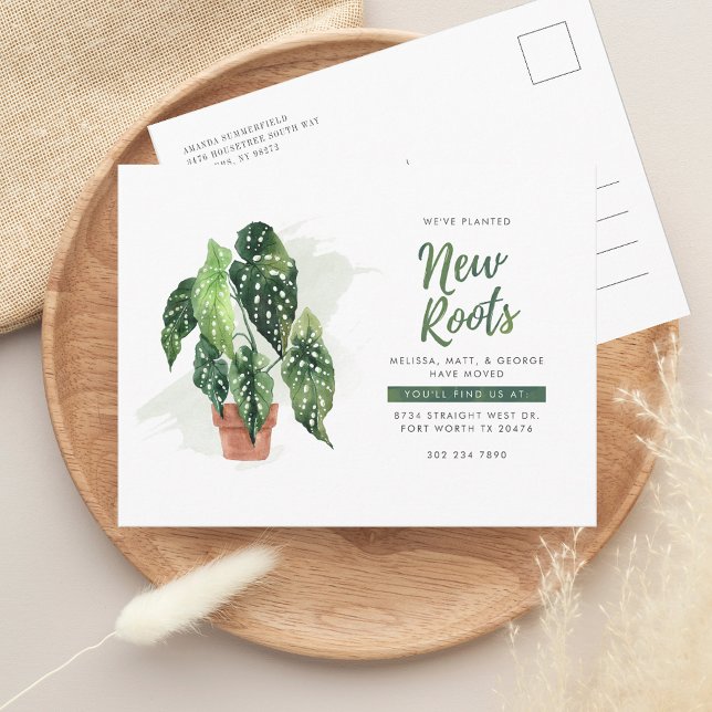 Carte Postale Faire-part Nous avons déménagé Adresse Déménagement (New Roots Change of Address Watercolor Potted Plant Moving Announcement Postcard)