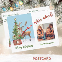 Nous avons déménagé Budget Photo Arbre de Noël
