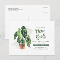 Nous avons déplacé planté de nouvelles racines Mov