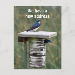 Carte Postale Faire-part Nous avons une nouvelle adresse