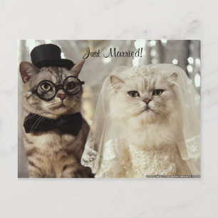 Carte Postale Faire-part Nous l'avons juste fait !