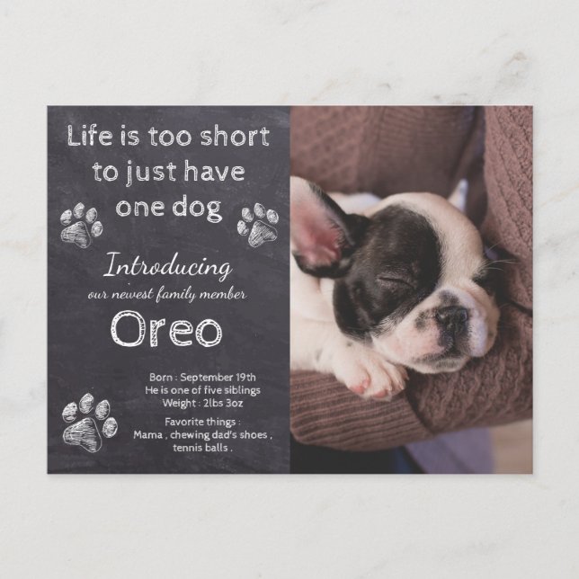 Carte Postale Faire-part Nouveau Chiot - Introduction Chien Chien Chien Chi (Devant)