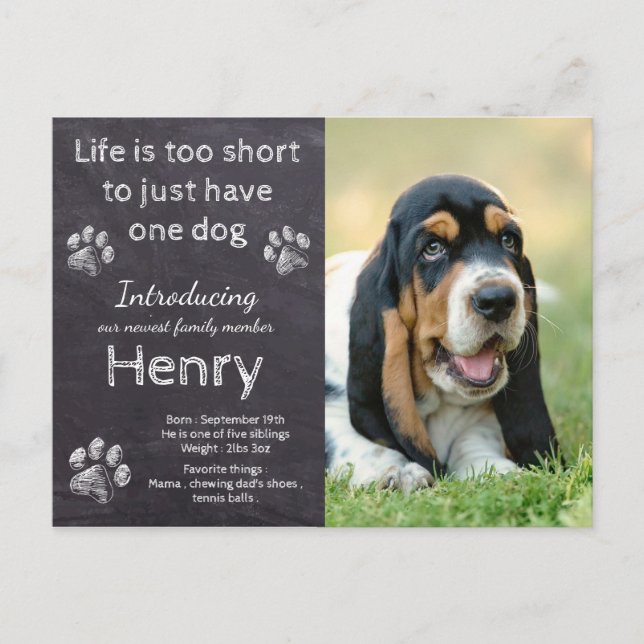 Carte Postale Faire-part Nouveau Chiot - Russe Chien de Animaux de Compagni (Devant)