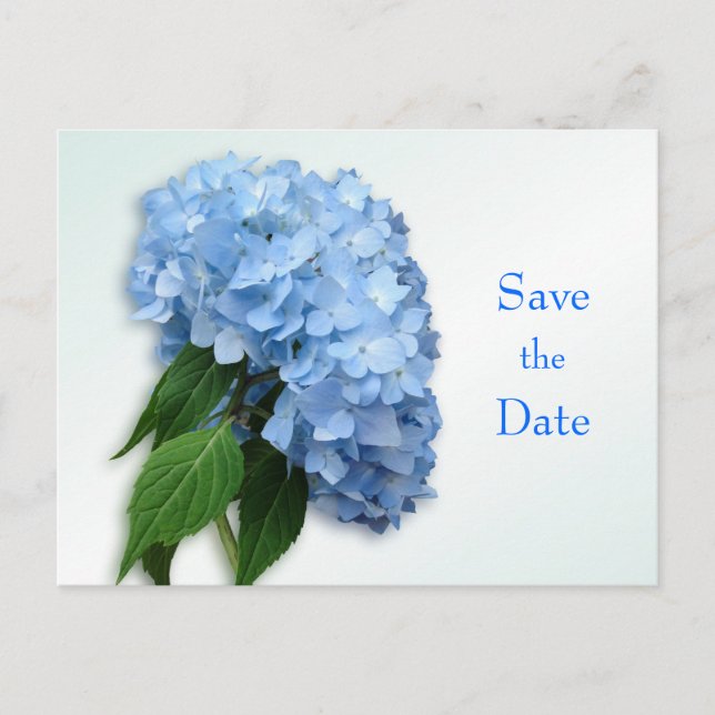 Carte Postale Faire-part Nouveau mariage Blue Hydrangea Enregistrer la date (Devant)