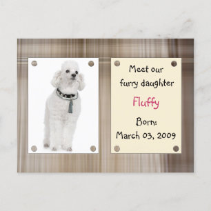 Carte Postale Faire-part Nouveaux animaux familiers de rassemblement