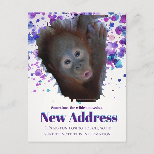 Carte Postale Faire-part Nouvelle Adresse (Devant)