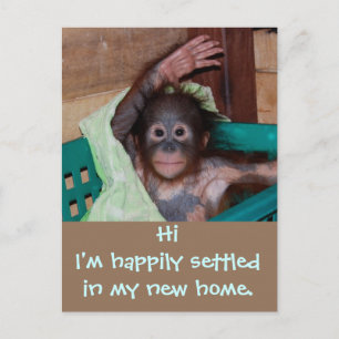 Carte Postale Faire-part Nouvelle Adresse de Résidence Charmante