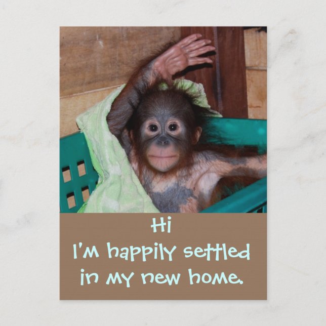 Carte Postale Faire-part Nouvelle Adresse de Résidence Charmante (Devant)