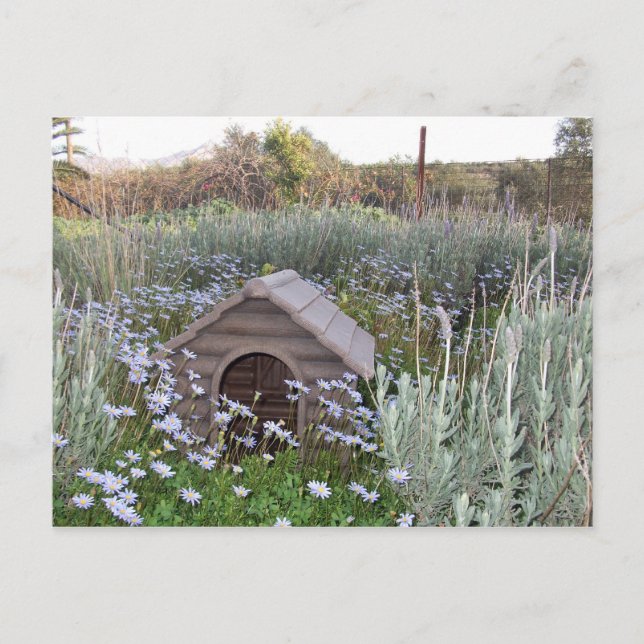 Carte Postale Faire-part Nouvelle Maison (Devant)