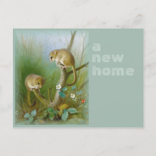 Carte Postale Faire-part Nouvelle maison CC0112 Archibald Thorburn Dormice