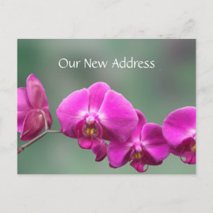 Carte Postale Faire-part Nouvelles coordonnées Orchidées roses