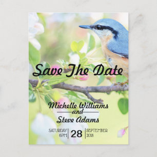 Carte Postale Faire-part Oiseau Bleu Enregistrez la Date