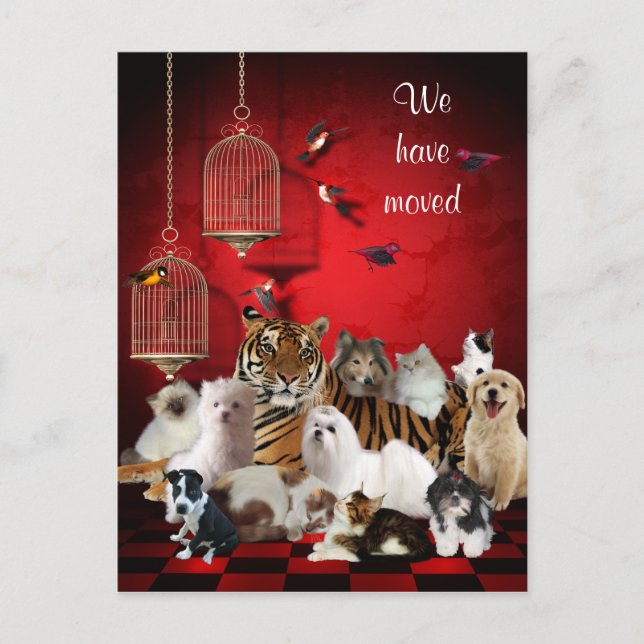 Carte Postale Faire-part Oiseaux & Chats et Cages Rouge, Nous avons déplacé (Devant)