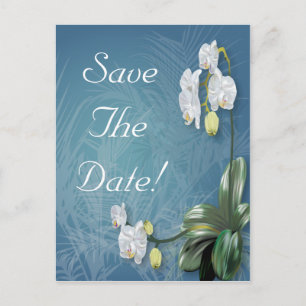 Carte Postale Faire-part Orchidées & Fougères Mariage Sauvegarder La Date