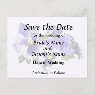 Carte Postale Faire-part Pansies violettes et blanches