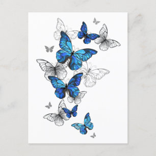 Carte Postale Faire-part Papillons volants bleus Morpho