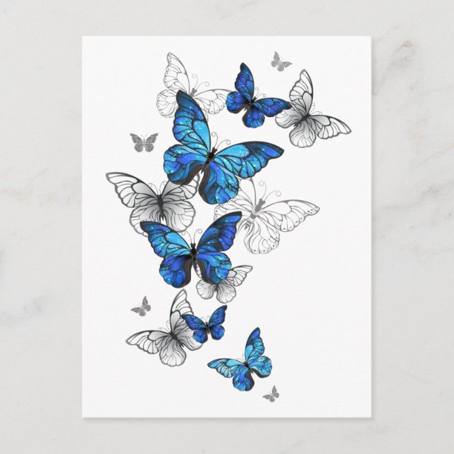 Carte Postale Faire-part Papillons volants bleus Morpho (Devant)
