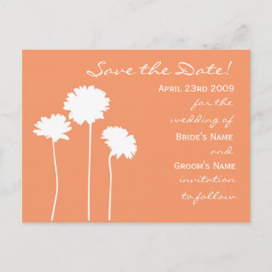 Carte Postale Faire-part Peach Daisy Enregistrer la Date