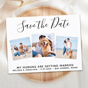 Carte Postale Faire-part Pet Wedding Photo Collage Dog Save The Date