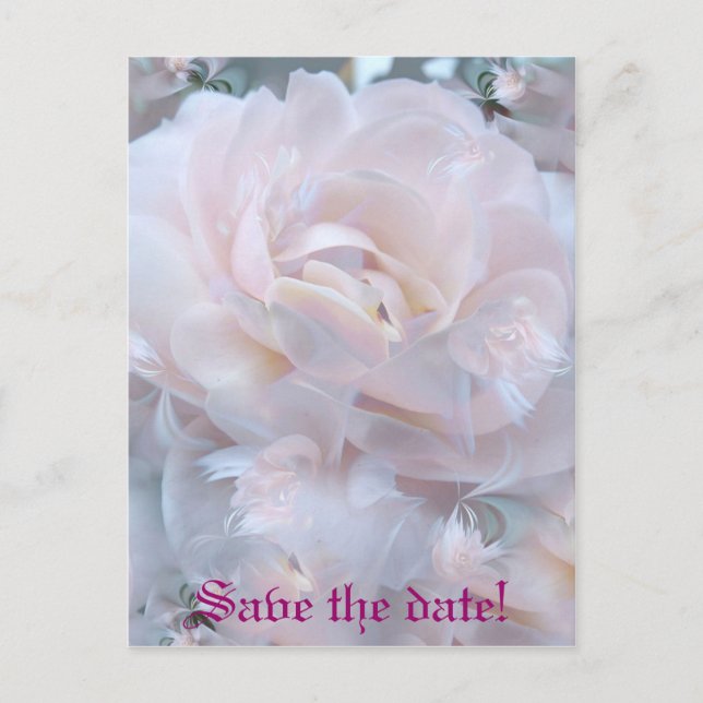 Carte Postale Faire-part Pétales de rose (Devant)