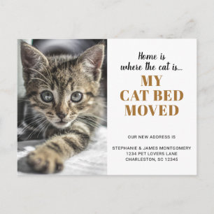 Carte Postale Faire-part Photo de chat drôle Personnalisé Animal de compagn