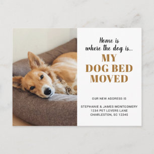 Carte Postale Faire-part Photo de chien drôle Personnalisé Déménagement ani