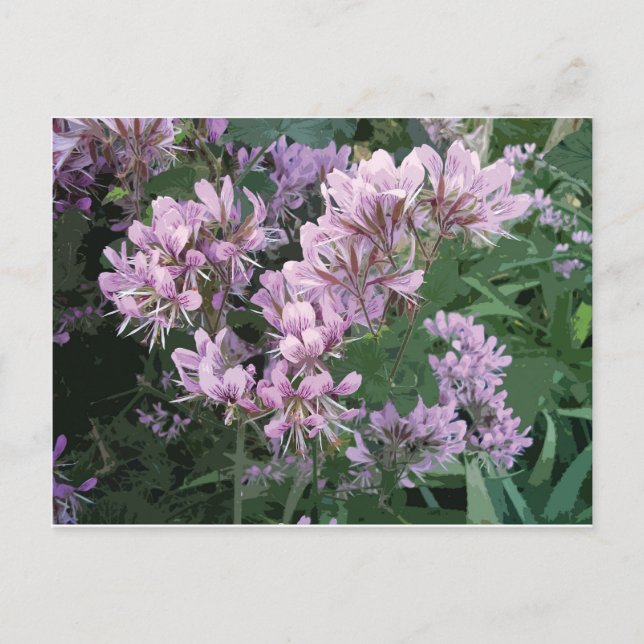 Carte Postale Faire-part Photo de fleur rose (Devant)