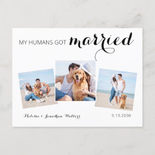 Carte Postale Faire-part Photo moderne Collage Chien Mariage Elopement