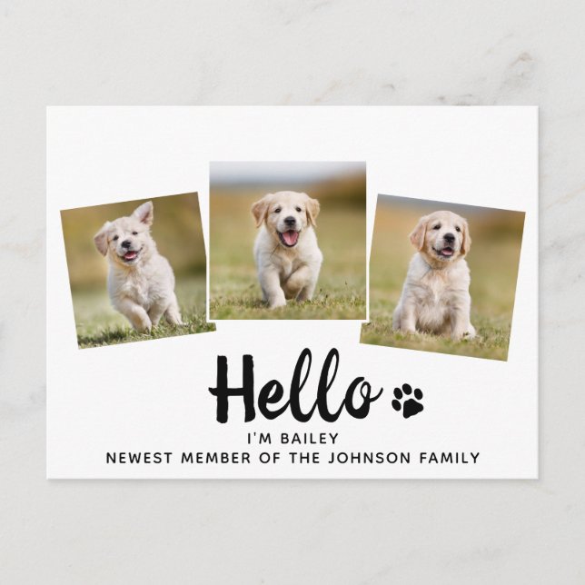 Carte Postale Faire-part Photo pour animaux de compagnie Hello Chien chiot (Devant)