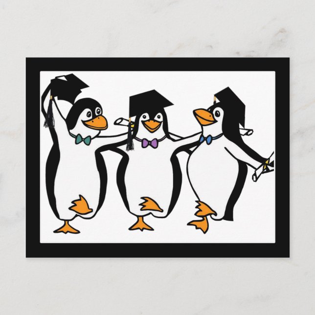 Carte Postale Faire-part Pingouins diplômés (Devant)