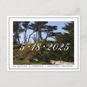 Carte Postale Faire-part Pins de Monterey Californie Sauvegarder la date