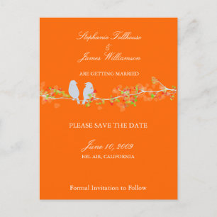 Carte Postale Faire-part PixDezines oiseaux d'amour/fond de couleur diy !