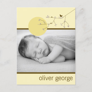 Carte Postale Faire-part Plum moderne nidification d'oiseaux Famille Photo