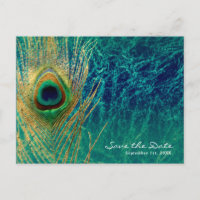 Plume de paon bleu sarcelle or glamour Enregistrer